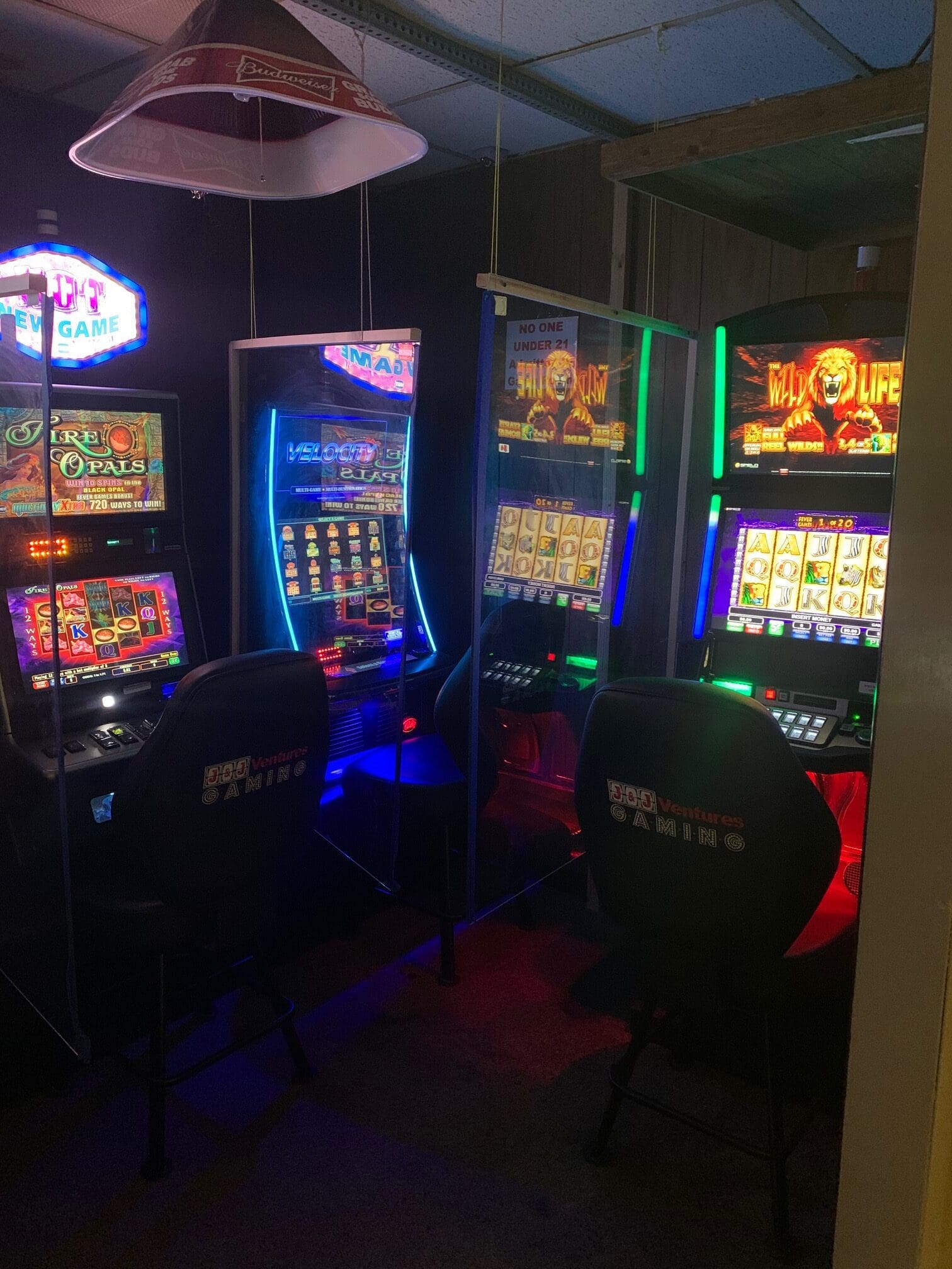 Video Gaming in Anna