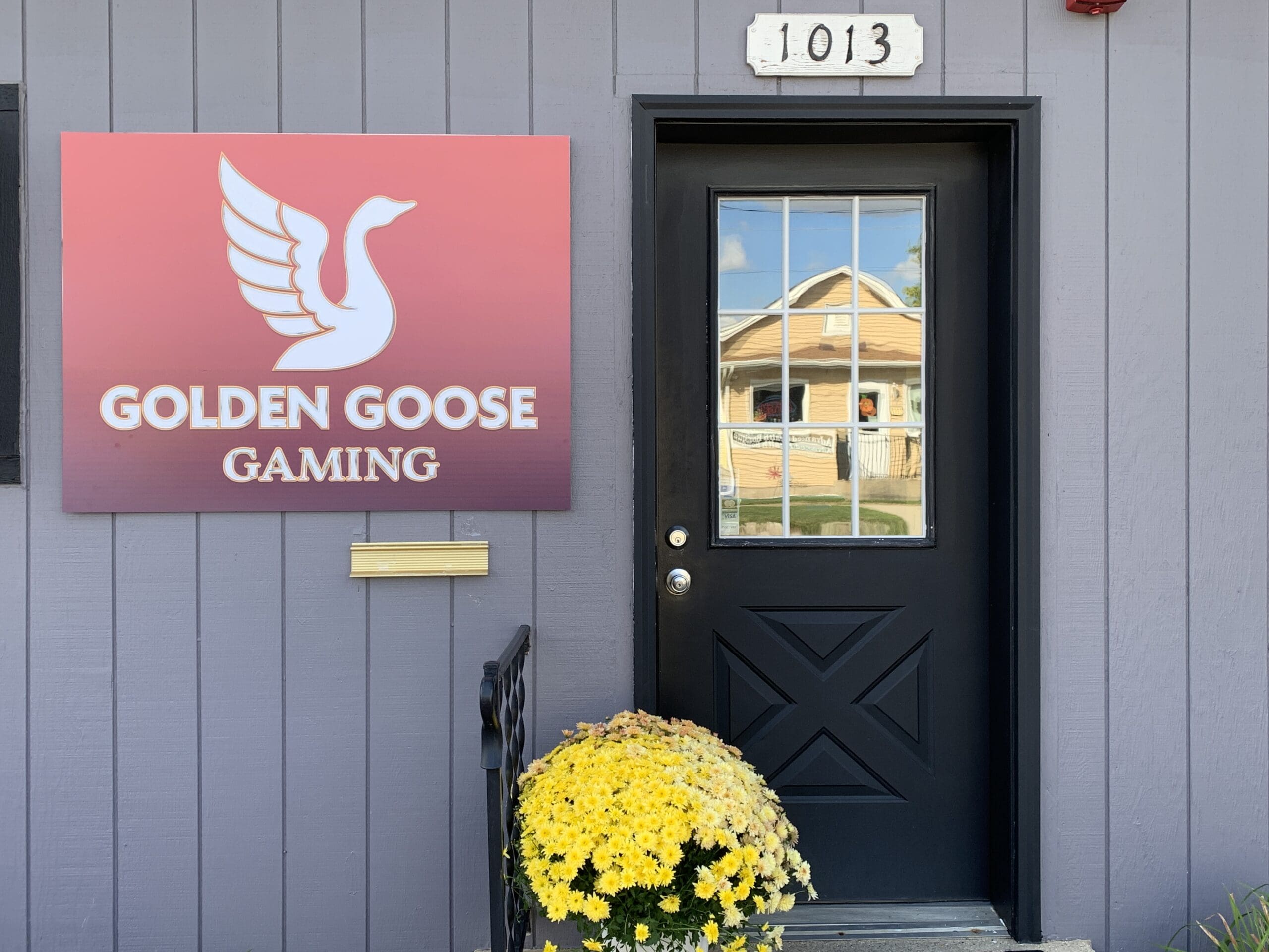 Video Gaming in Ottawa