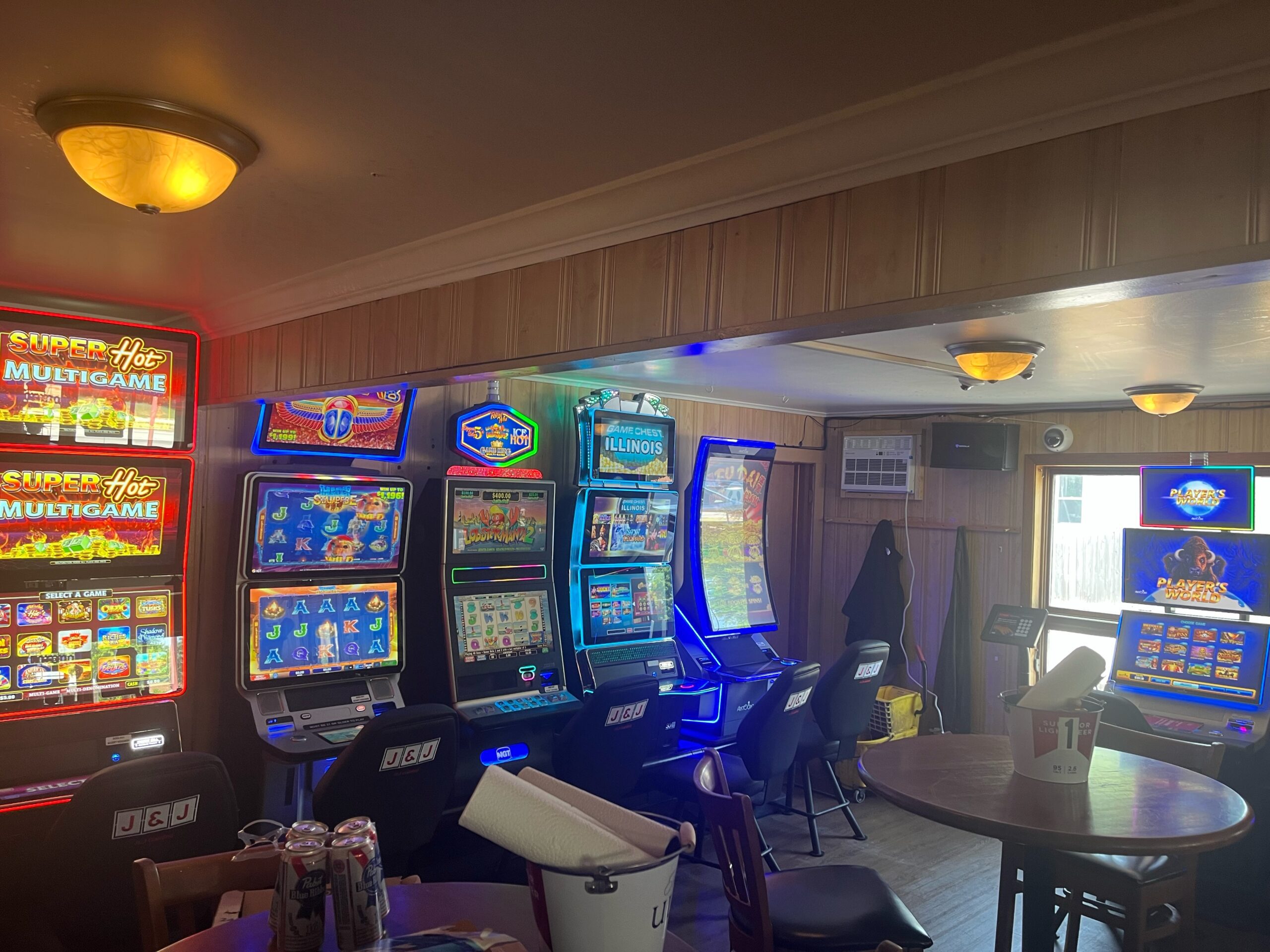 Video Gaming in Ingleside, IL
