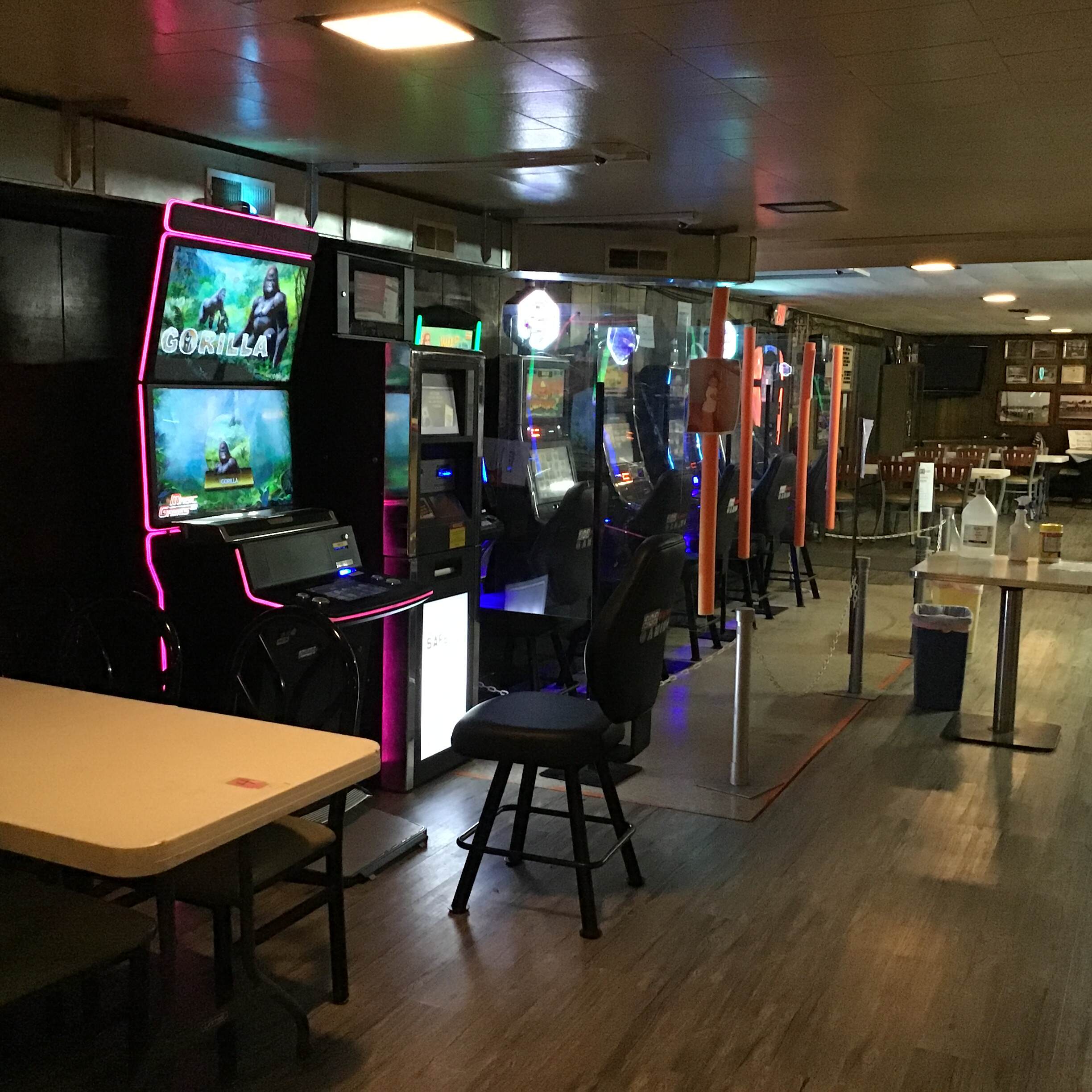 Video Gaming in Carrier Mills