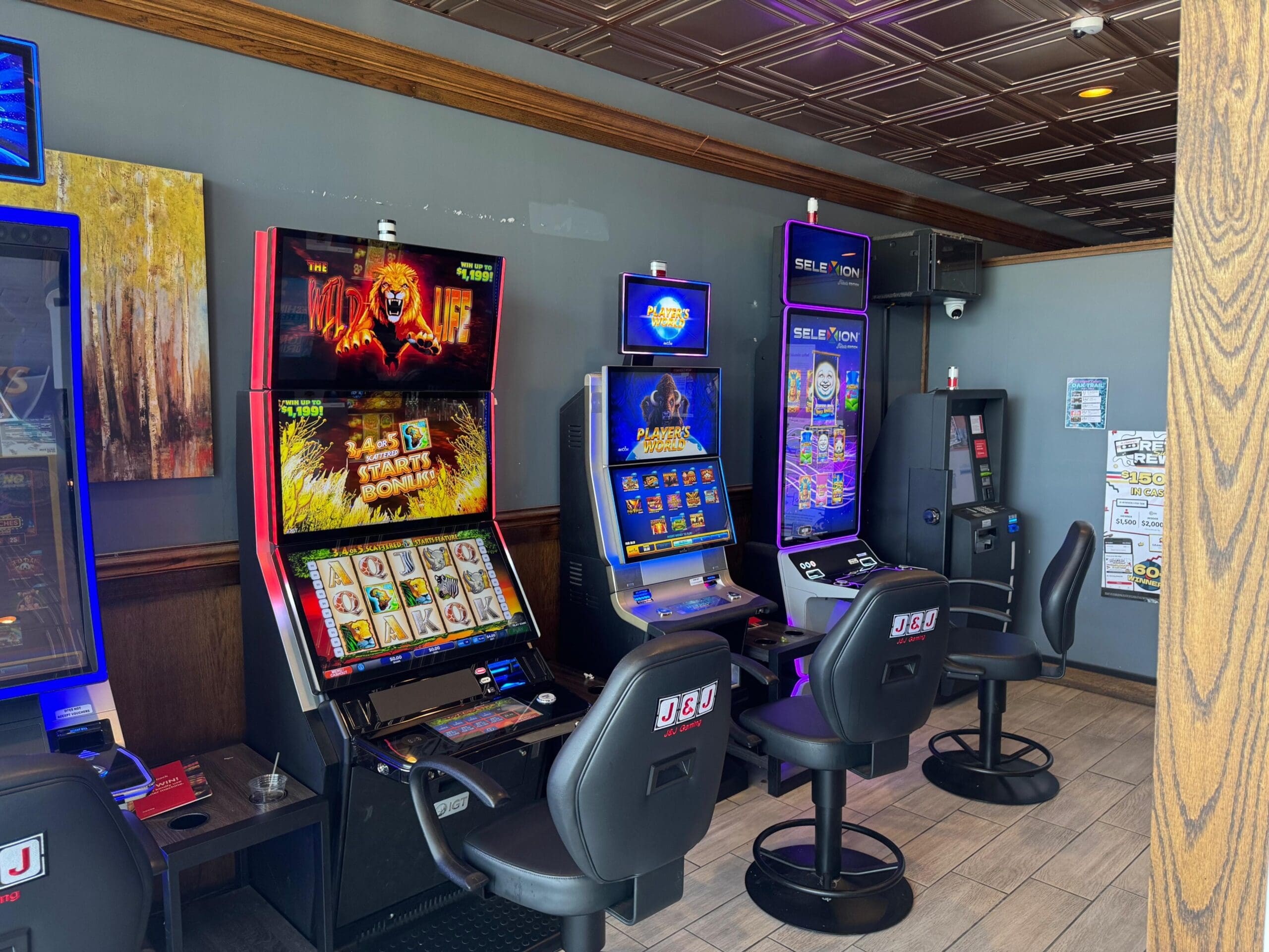 Video Gaming at Oak Trail Taphouse in Mundelein, IL